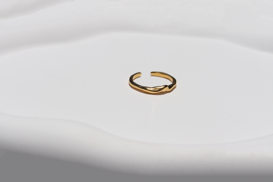 Nes Ring